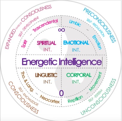 Sello Premio Inteligencia Energética 2025